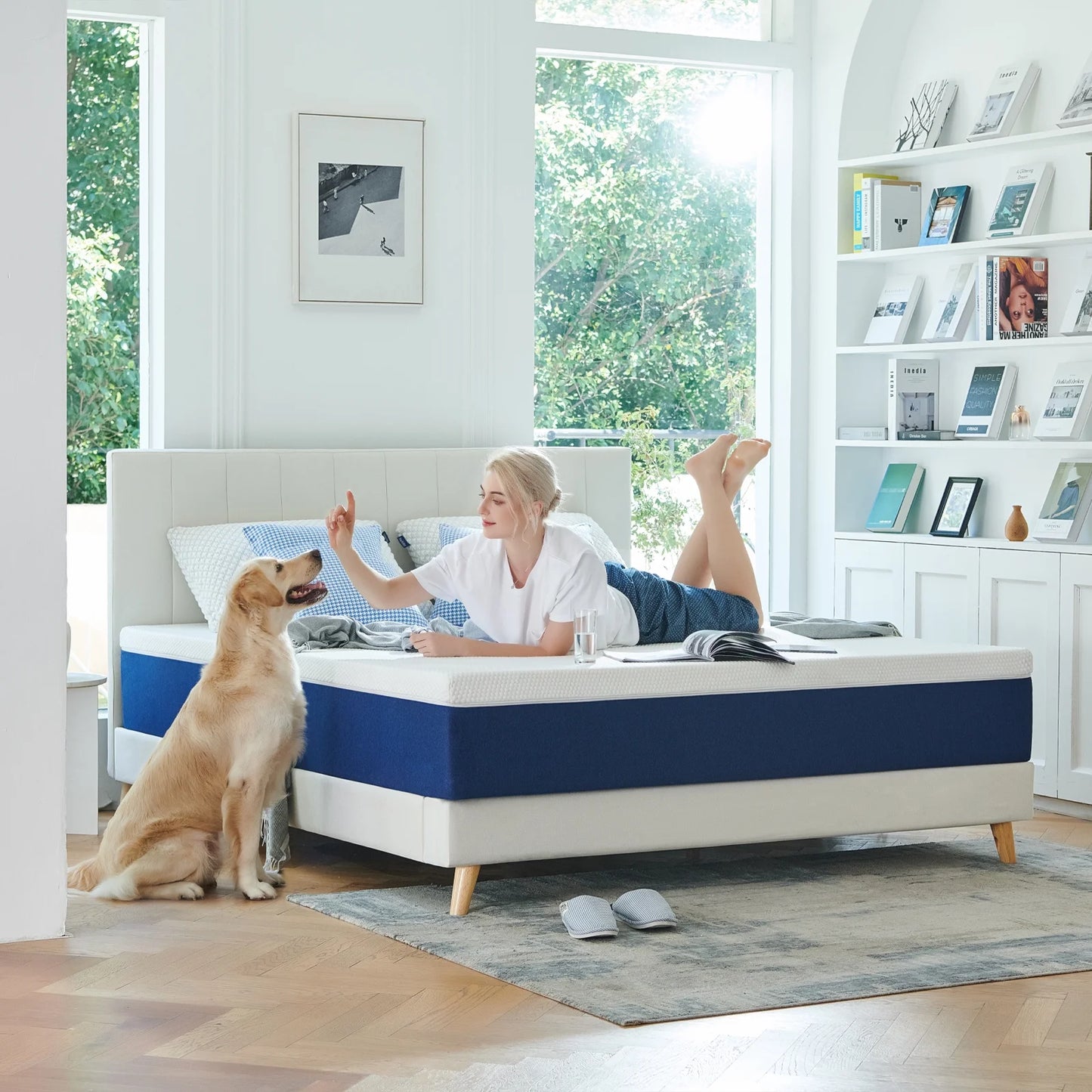 Queen Mattress, JIAVA 10" Medium Gel Memory Foam Mattress in a Box, Adult